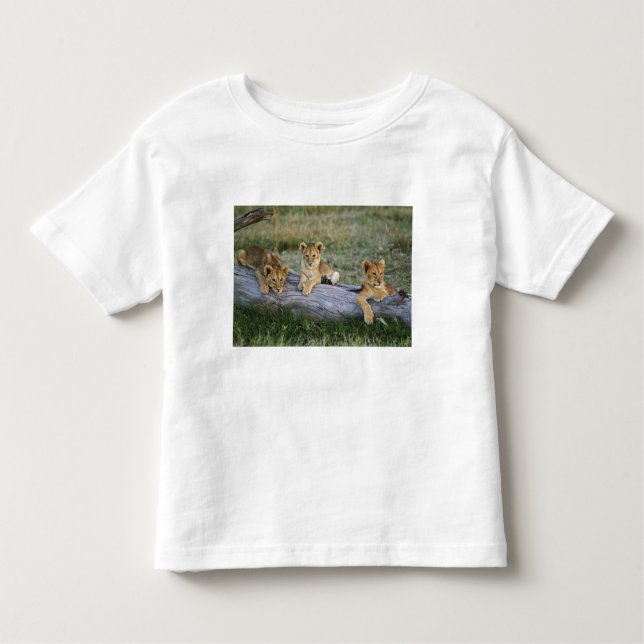 Camiseta Infantil Cubos de Leão no Log (Frente)