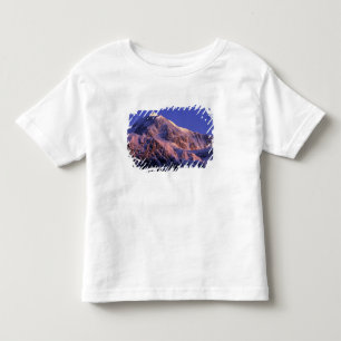 Camiseta Infantil Cume do Pico Denali Mt. McKinley) em