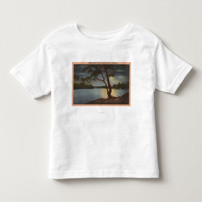 Camiseta Infantil Cumprimentos de Sumterville, Florida - lua (Frente)