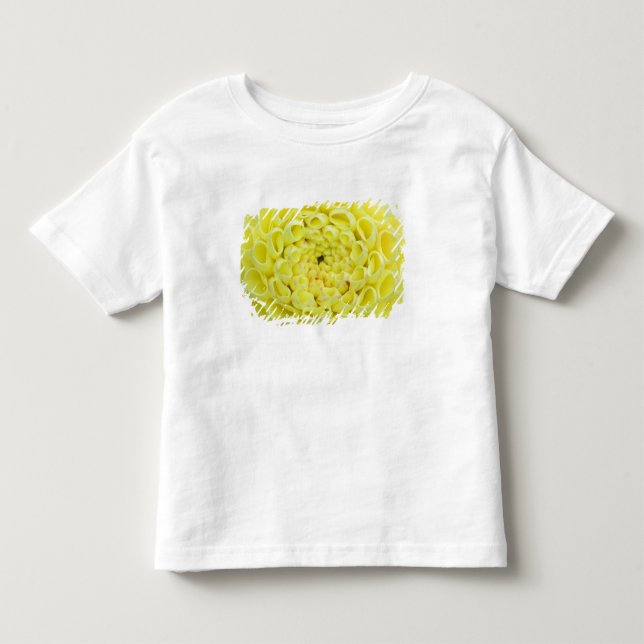 Camiseta Infantil Dália (Frente)