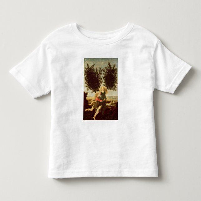 Camiseta Infantil Daphne e Apollo, c.1470-80 (Frente)