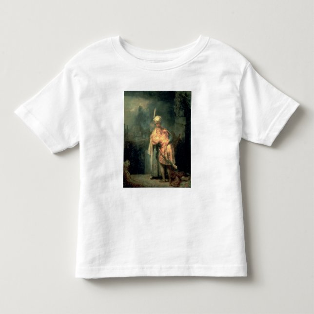 Camiseta Infantil David e Jonathan, 1642 (Frente)