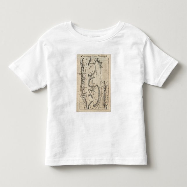 Camiseta Infantil De Albany a Newborough 33 (Frente)