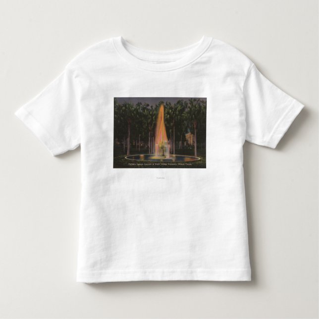 Camiseta Infantil Deland, Florida - universidade de Stetson (Frente)