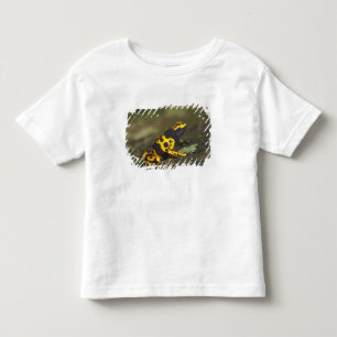 Camiseta Infantil Dendrobates, Sapo de Dart Venenoso de Banda Amarel