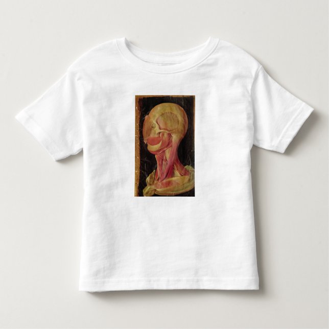 Camiseta Infantil Desenho anatômico da cabeça humana (Frente)