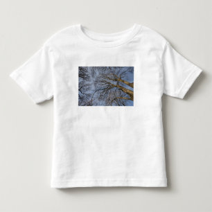 Camiseta Infantil Desenho/padrão do tronco da árvore. Parque Pioinee