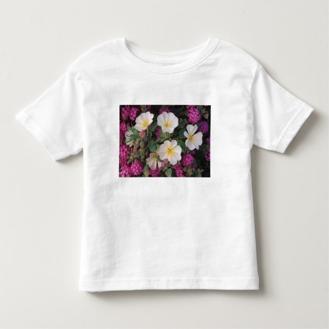 Camiseta Infantil Deserto Noite Primrose e Deserto Sand Verbena, (Frente)