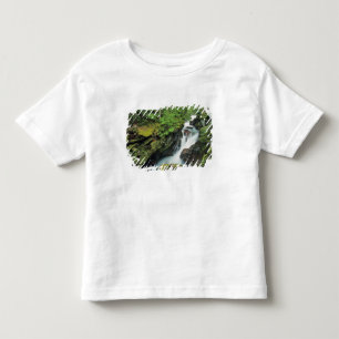Camiseta Infantil Desfiladeiro Avalanche no Parque Nacional Glacier