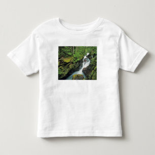 Camiseta Infantil Desfiladeiro Avalanche no Parque Nacional Glacier