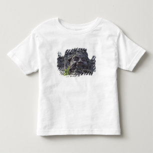 Camiseta Infantil Detalhe da face do Gopuram da Torre Oeste),