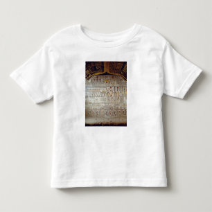 Camiseta Infantil Detalhe do livro da terra