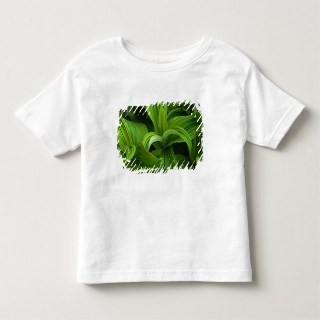 Camiseta Infantil Dewdrops em um Helabore falso (Frente)