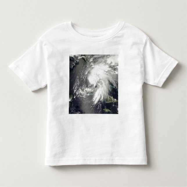 Camiseta Infantil Dia de Tempestade Tropical 2 (Frente)