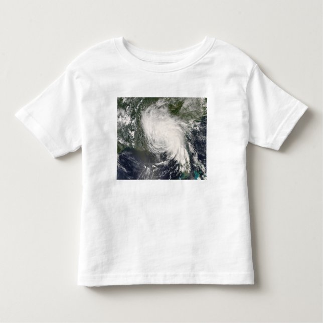 Camiseta Infantil Dia de Tempestade Tropical 3 (Frente)