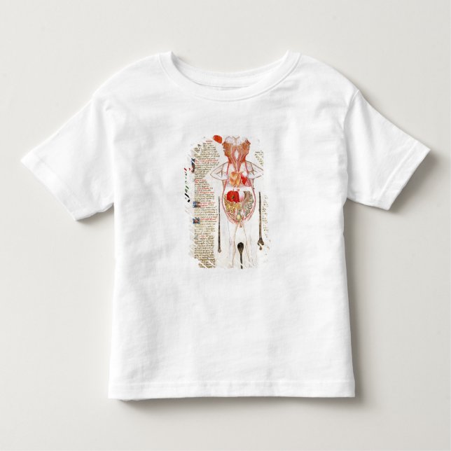 Camiseta Infantil Diagrama anatômico (Frente)