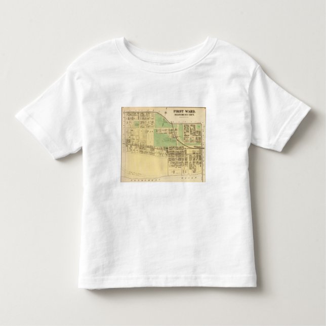 Camiseta Infantil Divisão 1 de Allegheny (Frente)