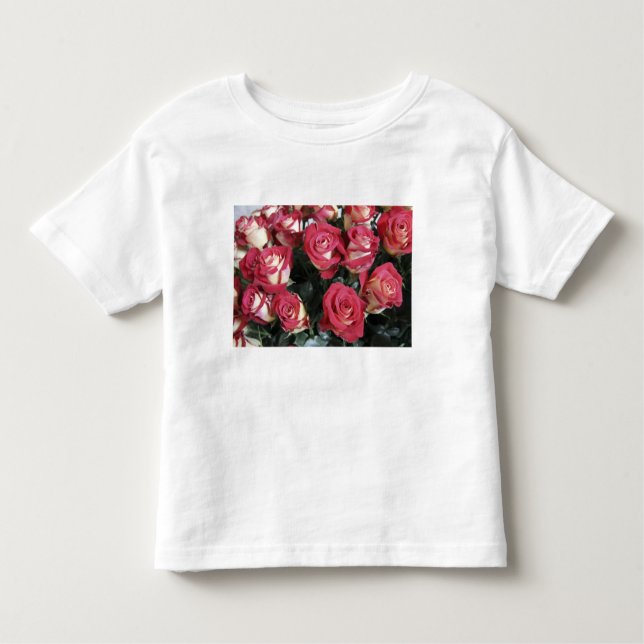 Camiseta Infantil Doçura Rosa na Hacienda Compania (Frente)