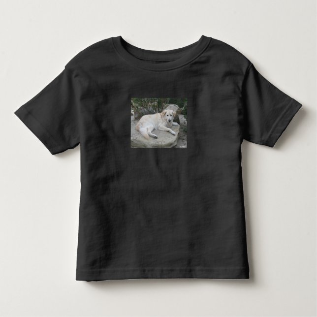 Camiseta Infantil Dog Resting On A Rock (Frente)