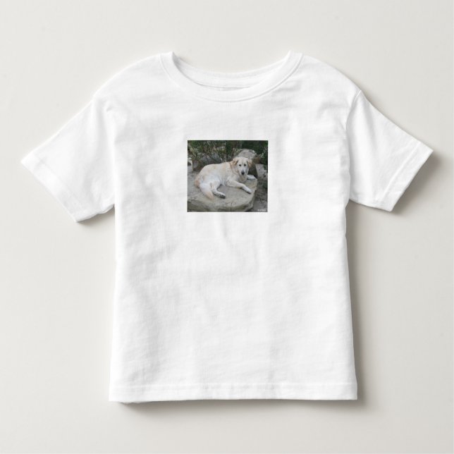 Camiseta Infantil Dog Resting On A Rock (Frente)