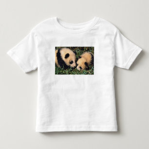 Camiseta Infantil Dois filhotes de panda no arbusto de bambu, Wolong