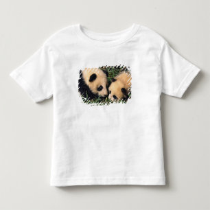 Camiseta Infantil Dois filhotes de panda no arbusto de bambu, Wolong