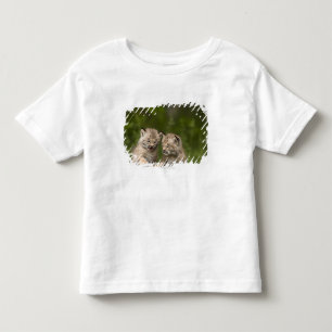 Camiseta Infantil Dois gatinhos do lince de Canadá que jogam em um