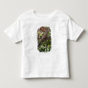 Camiseta Infantil Dois macacos em uma árvore