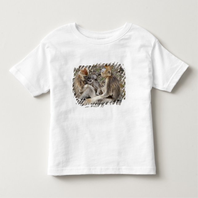 Camiseta Infantil Dois macacos Ouros fêmeas com recém-nascidos (Frente)