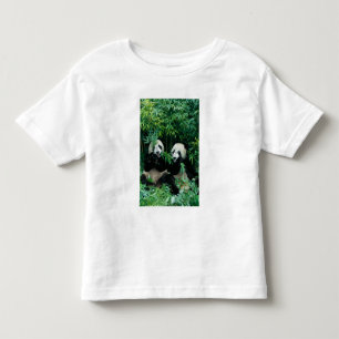 Camiseta Infantil Dois pandas comendo bambu juntos, Wolong