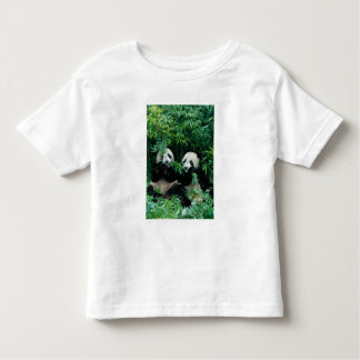Camiseta Infantil Dois pandas comendo bambu juntos, Wolong