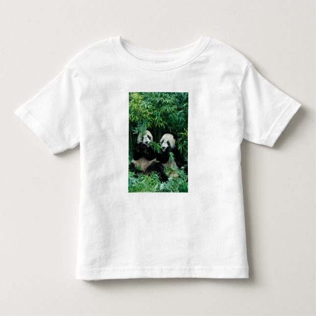 Camiseta Infantil Dois pandas comendo bambu juntos, Wolong (Frente)