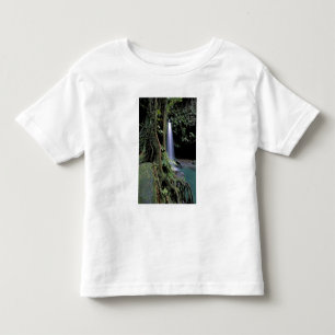 Camiseta Infantil Dominica, Piscina Esmeralda, Cachoeira.