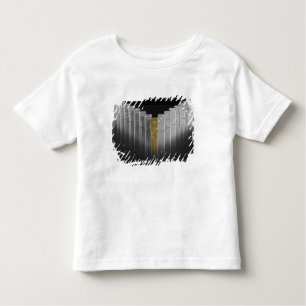 Camiseta Infantil Dominós do ouro e da prata