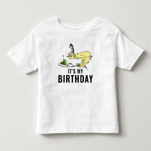 Camiseta Infantil Dr. Seuss - Caracteres   ANIVERSÁRIO DE CRIANÇA