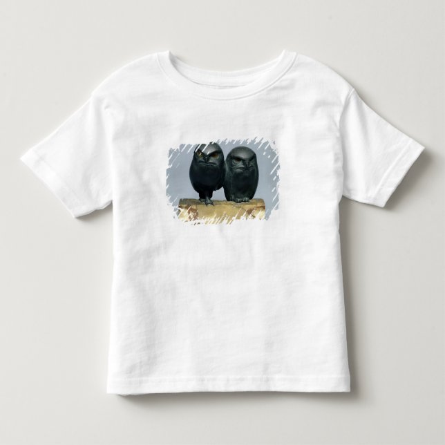 Camiseta Infantil Duas corujas, 1903-04 (Frente)