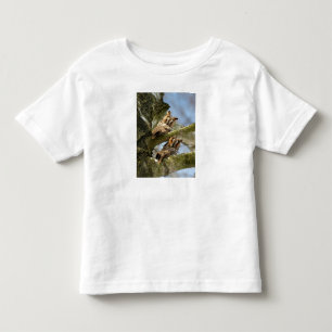 Camiseta Infantil Duas corujas nos bosques, aves, vida selvagem