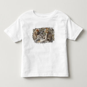 Camiseta Infantil Duas fêmeas de Macacos Dourados com recém-nascidos