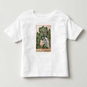 Camiseta Infantil Duas mulheres que escolhem o sábio, 'de Tacuinum