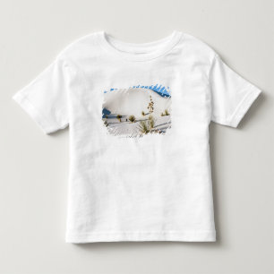 Camiseta Infantil Dunas Transversais e Soaptree Yucca