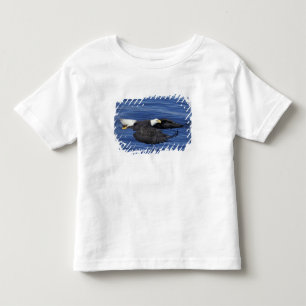 Camiseta Infantil E.U.A., Alasca, Águia careca da Península de Kenai