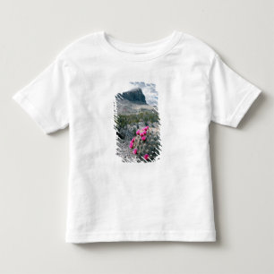 Camiseta Infantil E.U.A., Texas, Parque Nacional Big Bend. Florindo