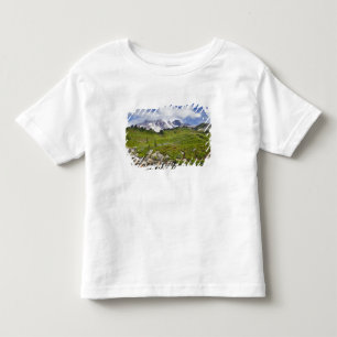 Camiseta Infantil Edith Creek e prados de flores silvestres no Para