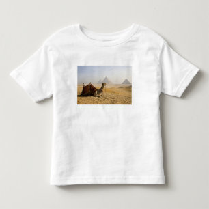 Camiseta Infantil Egito, Cairo. Um camelo solitário