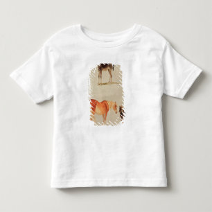 Camiseta Infantil Éguas e potros