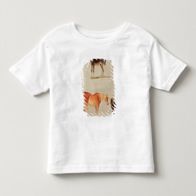 Camiseta Infantil Éguas e potros (Frente)