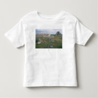 EL Castillo e o Nunnery