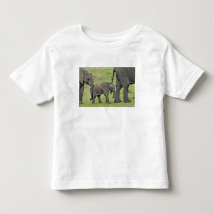 Camiseta Infantil Elefante africano fêmea com bebê