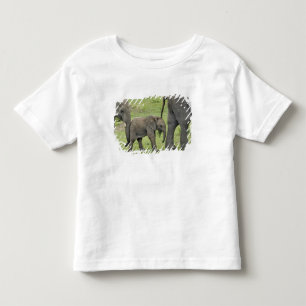 Camiseta Infantil Elefante africano fêmea com bebê