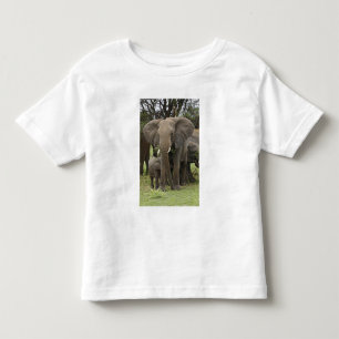 Camiseta Infantil Elefante Africano Manada